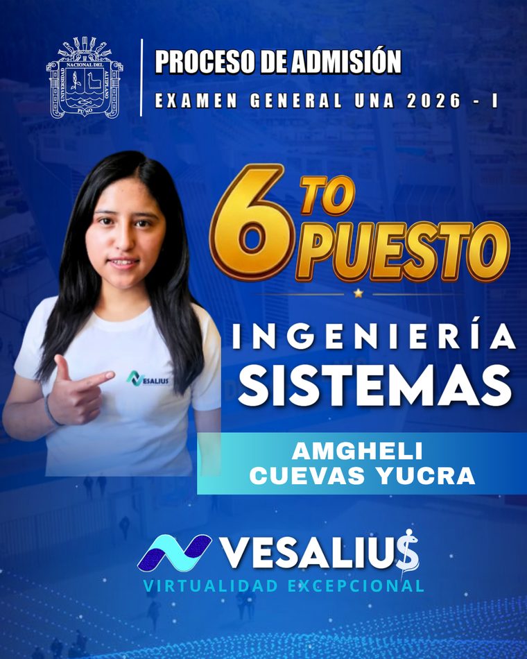 Amgheli Cuevas Yucra — Ingeniería de Sistemas